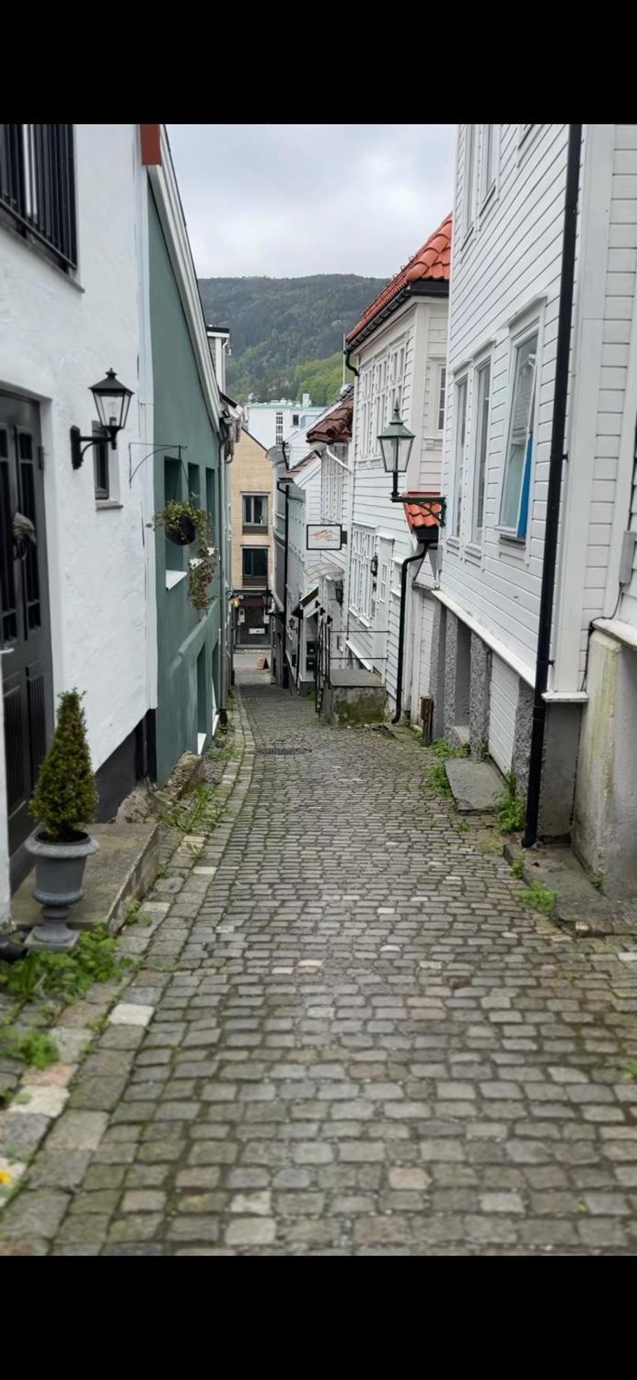 The Dreamhouse - Inner City Center - Old Town Bergen Zewnętrze zdjęcie